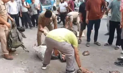 कोटद्वार में संदिग्ध गौमांस तस्करी का मामला, गौ सेवकों ने बाइक को लगाई आग….