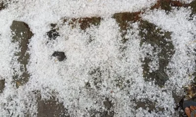 नकदी फसलें बर्बाद, किसानों की आजीविका पर संकट |