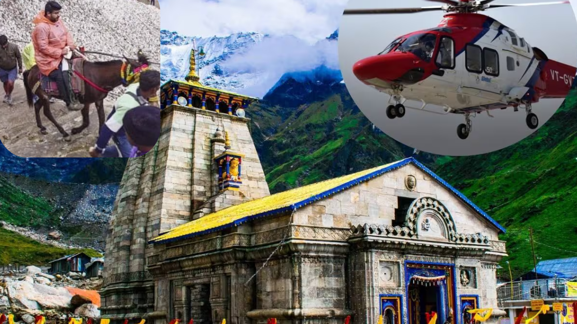बाबा केदार के आशीर्वाद से हेली सेवाओं से आगे निकले घोड़े-खच्चर, जानिए कैसे ? बाबा केदार के आशीर्वाद से हेली सेवाओं से आगे निकले घोड़े-खच्चर, जानिए कैसे ?