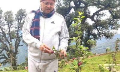 उत्तराखंड में सेब उत्पादन को बढ़ावा, गैरसैंण में एप्पल मिशन की जानकारी देते नजर आए सीएम धामी |