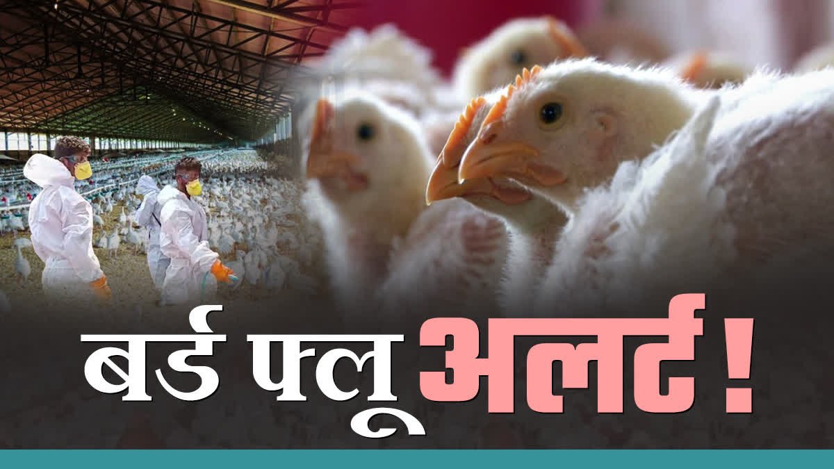 एक हफ्ते तक पोल्ट्री, अंडे और मांस के परिवहन पर रोक, सैंपलिंग व जागरूकता अभियान तेज”