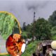सड़क न बनने से टूट रहे रिश्ते, अधेड़ उम्र तक कुंवारे रह गए युवा! Garikhet’s Road Crisis Effect Weddings