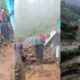 उत्तराखंड में बादल फटने से तबाही: कई इलाकों में भारी नुकसान, एक महिला की मौत, कई लापता l