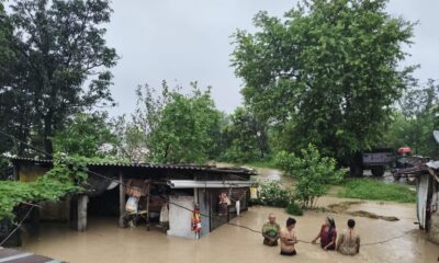 उधम सिंह नगर तराई में बरसात ने मचाया कहर, नदियां उफान पर, कई इलाके जलमग्न