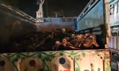 सेलाकुई में हड्डियों से भरा लोडर मिलने पर बवाल, वाहन में लगाई आग; पुलिस ने बचाई तीन की जान l