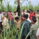 जंगल में मिला फैक्ट्री कर्मचारी शव! मंगलौर में मचा हड़कंप