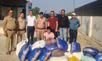 दिवाली से पहले खाद्य विभाग की ताबड़तोड़ छापेमारी जारी, सीमाओं पर बढ़ी चौकसी