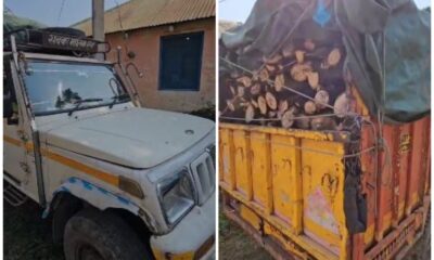 सहसपुर में वन विभाग की बड़ी कार्रवाई, लकड़ी से लदी पिकअप जब्त