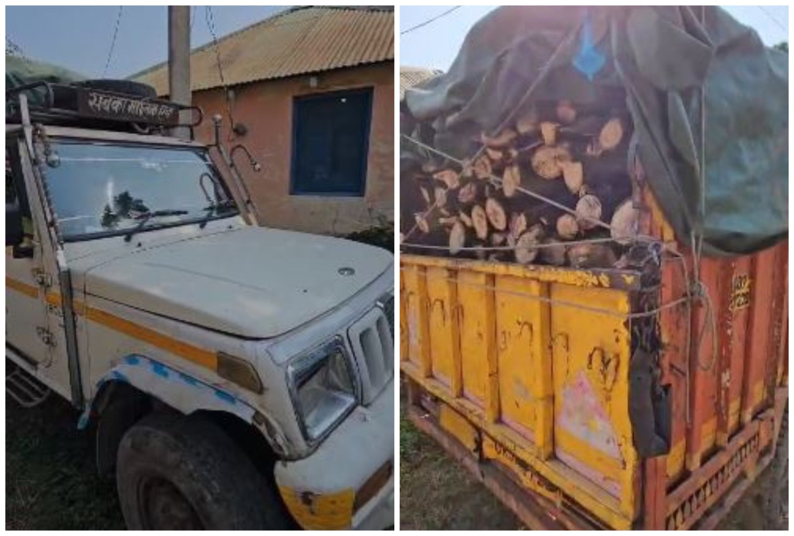 सहसपुर में वन विभाग की बड़ी कार्रवाई, लकड़ी से लदी पिकअप जब्त