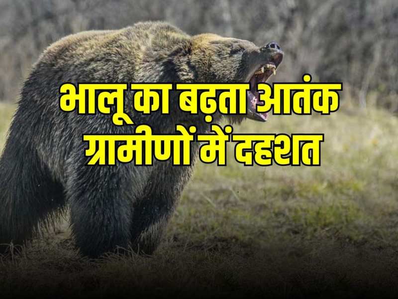 जयकोट में तीन भालुओं के हमले में युवक की हालत गंभीर, हेली सेवा से पहुँचाया एसटीएच हल्द्वानी