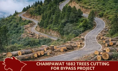 मुड़ियानी-तिलोंन बाईपास निर्माण के लिए पेड़ों पर चलेगी आरी , 1882 पेड़ किए गए चिन्हित