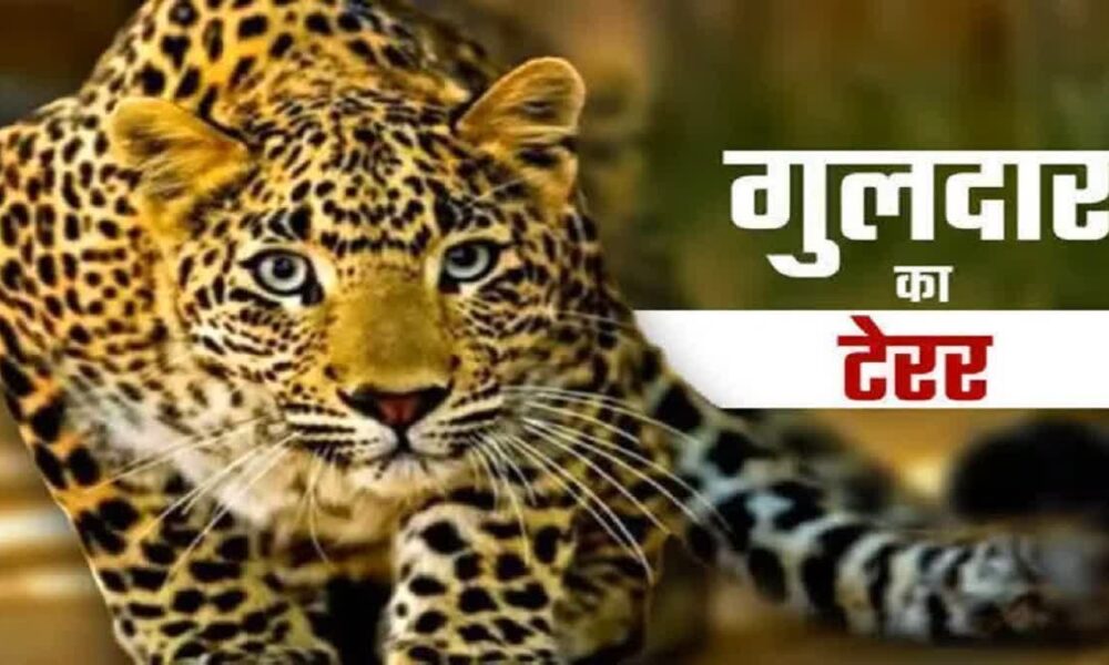 धारी ब्लॉक के खुटियाखाल गांव में तेंदुए की दशहत, महिला को बनाया निवाला