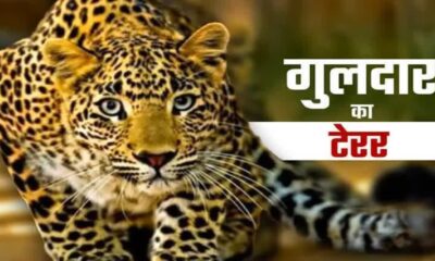 धारी ब्लॉक के खुटियाखाल गांव में तेंदुए की दशहत, महिला को बनाया निवाला