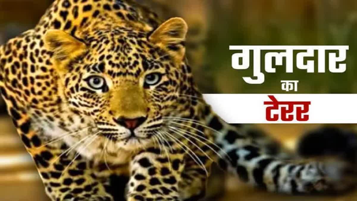 धारी ब्लॉक के खुटियाखाल गांव में तेंदुए की दशहत, महिला को बनाया निवाला