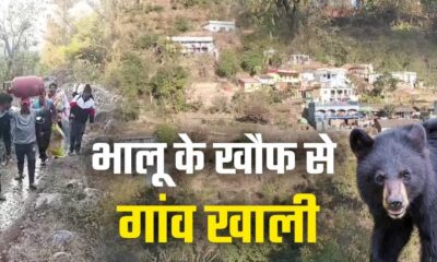 भालू के आतंक के कारण पूरा गांव हुआ खाली, आखिरी परिवार ने भी छोड़ा अपना पुश्तैनी मकान