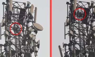 हरिद्वार में हाईवोल्टेज ड्रामा, शराब के नशे में धुत युवक चढ़ा मोबाइल टावर पर