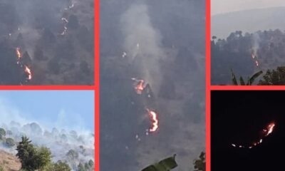 उत्तरकाशी के धरासू, मुखेम रेंज के जंगल धधक रहे आग से, वन विभाग की कार्यप्रणाली पर उठ रहे सवाल