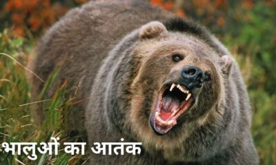 कर्णप्रयाग में घर के बाहर खड़े व्यक्ति पर भालू का हमला, बमुश्किल बच पाई जान