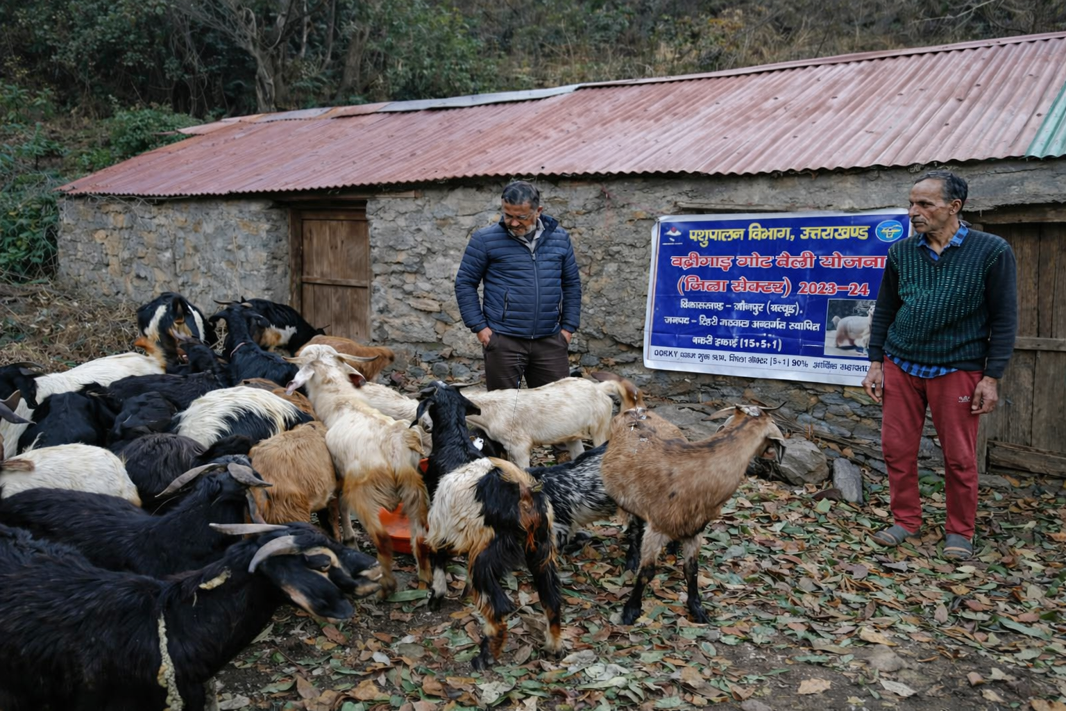 फिर हिचकोले खा रही घसियारी कल्याण योजना, लाभार्थियों को नहीं मिल रहा चारा