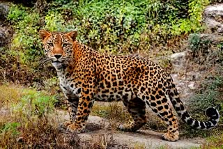 大阪限定配送★3か月保障付き★洗濯機★2020年★三菱★MR-CG33EE-W★330L★R-20 [1ak3l2-6WbJG] – 27,930円 : 月に1度の大安売りセールを開催！ギフト付き