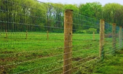 DEHRADUN: किसानों की फसल बचाने को केंद्र से 25 करोड़, घेर-बाड़ योजना को फिर मदद