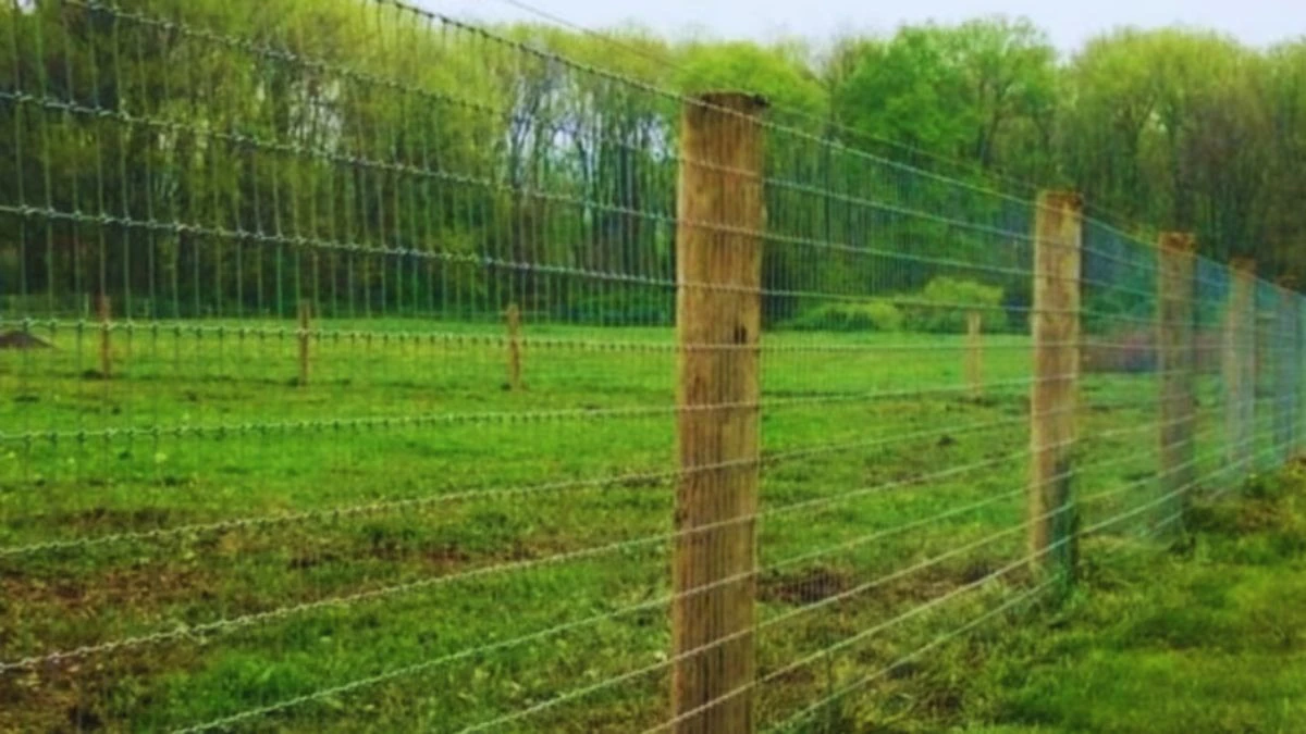 DEHRADUN: किसानों की फसल बचाने को केंद्र से 25 करोड़, घेर-बाड़ योजना को फिर मदद