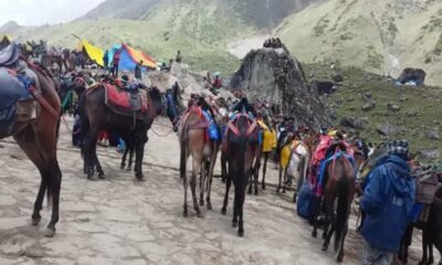 प्रदेश में यात्रा मार्गों पर घोड़ा-खच्चर संचालन के लिए एसओपी जारी, देखें नए नियम