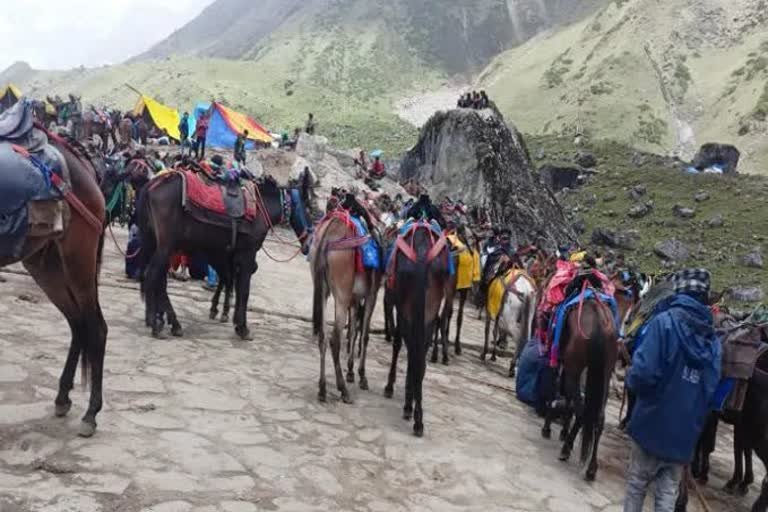 प्रदेश में यात्रा मार्गों पर घोड़ा-खच्चर संचालन के लिए एसओपी जारी, देखें नए नियम