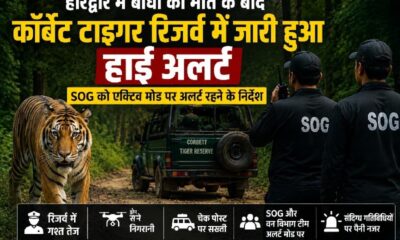 हरिद्वार में बाघों की मौत के बाद कॉर्बेट टाइगर रिजर्व में जारी हुआ हाई अलर्ट, SOG को एक्टिव मोड पर अलर्ट रहने के निर्देश…