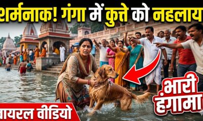 गंगा में पालतू कुत्ते को नहलाने पर सर्वानंद घाट पर भारी हंगामा, वीडियो वायरल