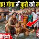 गंगा में पालतू कुत्ते को नहलाने पर सर्वानंद घाट पर भारी हंगामा, वीडियो वायरल
