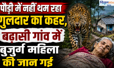 पौड़ी में नहीं थम रहा गुलदार का कहर, बढ़ासी गांव में बुजुर्ग महिला की जान गई