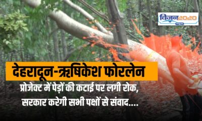 देहरादून-ऋषिकेश फोरलेन प्रोजेक्ट में पेड़ों की कटाई पर लगी रोक, सरकार करेगी सभी पक्षों से संवाद….