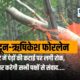 देहरादून-ऋषिकेश फोरलेन प्रोजेक्ट में पेड़ों की कटाई पर लगी रोक, सरकार करेगी सभी पक्षों से संवाद….