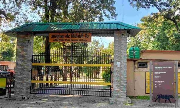 प्रसिद्ध बिजरानी पर्यटन जोन पर्यटकों के लिए खुला, पहले ही दिन फुल रही सारी सफारी